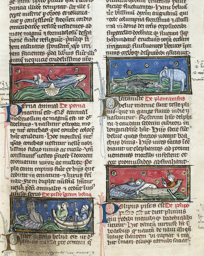 无人,竖图,特写,建筑,法国,小的,古代,手稿,摄影,宗教,海怪,文学,修道院,怪物,将军,中欧,哲学家,古代文明,地质学,美术工艺,修院,大写字母,彩图,时代,古生物学