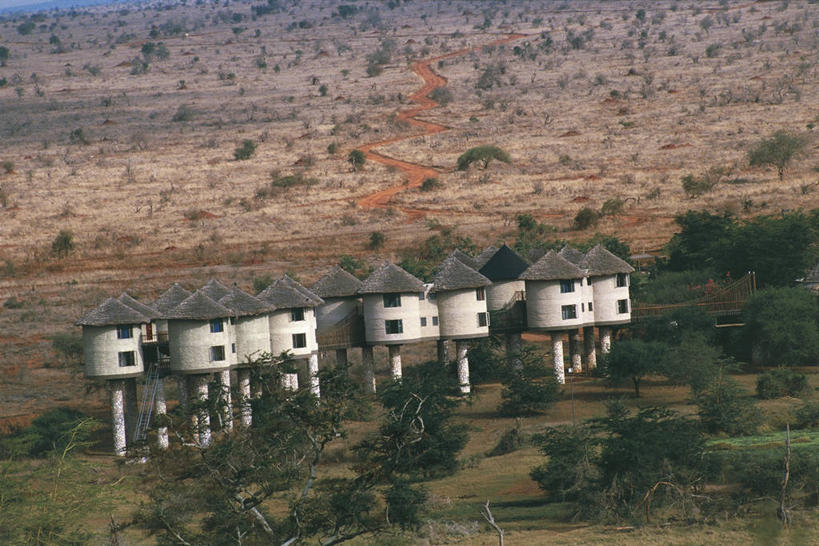 无人,横图,室外,白天,非洲,肯尼亚,树,摄影,气候,国家公园,将军,东非,自然地理,彩图,郊野公园