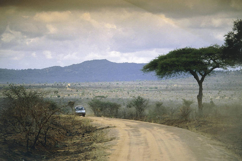无人,横图,室外,白天,草原,汽车,非洲,肯尼亚,机动车,树,摄影,气候,国家公园,东非,自然地理,彩图,郊野公园