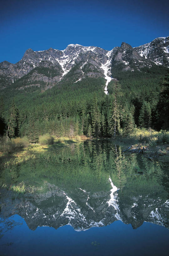 无人,公园,竖图,室外,白天,旅游,度假,湖,美景,森林,山,山脉,雪,美国,对称,反射,景观,联合国,娱乐,风景,天空,自然,享受,休闲,景色,放松,摄影,宁静,环境,北美,北美洲,国家公园,自然风光,美洲,蒙大拿州,冰川国家公园,万里无云,北亚美利加洲,亚美利加洲,蒙大拿,长空之乡,财富之州,冰河国家公园,完美,沃特顿冰川国际和平公园,自然地理,彩图,旅行,美利坚合众国,沃特顿.冰川国际和平公园,联合国教科文组织,郊野公园