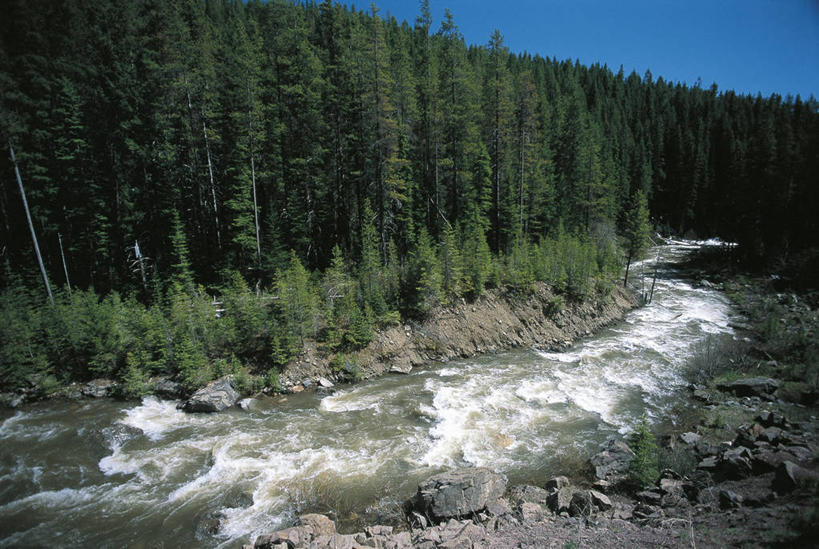 无人,公园,横图,俯视,室外,白天,旅游,度假,河流,美景,森林,山,水,美国,景观,流水,联合国,娱乐,风景,天空,小溪,自然,享受,休闲,景色,放松,摄影,环境,北美,北美洲,国家公园,自然风光,美洲,蒙大拿州,冰川国家公园,万里无云,北亚美利加洲,亚美利加洲,蒙大拿,长空之乡,财富之州,冰河国家公园,沃特顿冰川国际和平公园,自然地理,岩石,彩图,高角度拍摄,旅行,美利坚合众国,沃特顿.冰川国际和平公园,联合国教科文组织,郊野公园