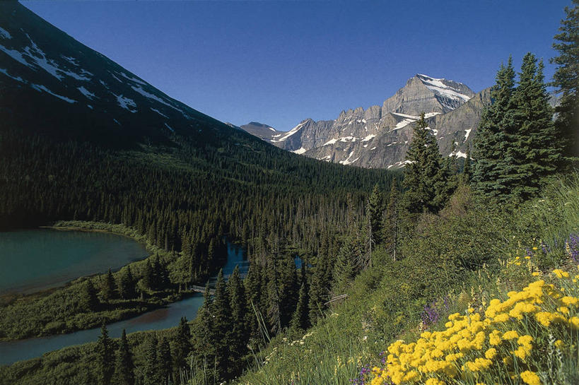 无人,公园,横图,俯视,室外,白天,旅游,度假,湖,美景,森林,山,山脉,美国,地形,景观,山顶,联合国,娱乐,花,风景,天空,自然,享受,休闲,景色,放松,摄影,宁静,环境,北美,北美洲,国家公园,自然风光,美洲,蒙大拿州,冰川国家公园,万里无云,洛矶山脉,北亚美利加洲,亚美利加洲,蒙大拿,长空之乡,财富之州,冰河国家公园,沃特顿冰川国际和平公园,自然地理,彩图,高角度拍摄,旅行,美利坚合众国,沃特顿.冰川国际和平公园,联合国教科文组织