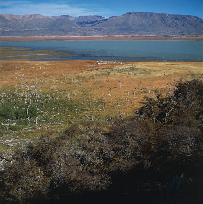 无人,竖图,方图,室外,白天,湖,山,阿根廷,地平线,地形,辽阔,地面,风景,自然,地标建筑,广阔,南美,摄影,宁静,一望无际,环境,国家公园,延伸,天地相交,巴塔哥尼亚,无边无际,一马平川,彩图,阿根廷湖,郊野公园