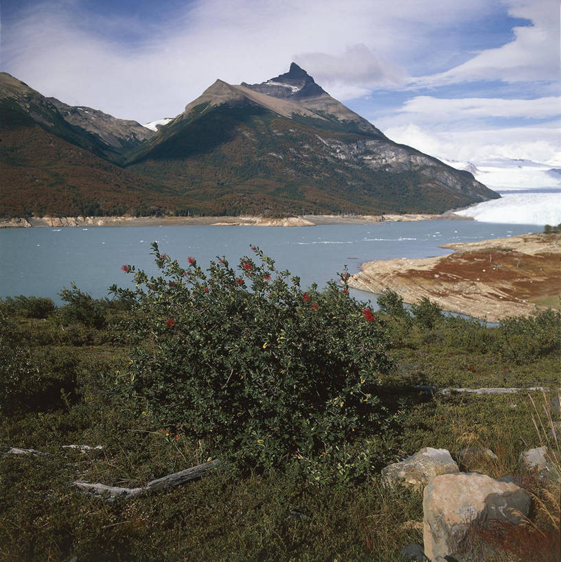 无人,竖图,方图,室外,白天,湖,美景,阿根廷,地形,景观,联合国,风景,自然,景色,南美,摄影,宁静,国家公园,自然风光,巴塔哥尼亚,自然地理,彩图,旅行,联合国教科文组织,阿根廷湖,郊野公园