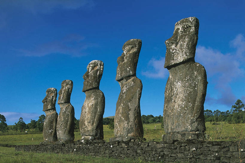 无人,横图,室外,白天,雕塑,复活节岛,智利,一排,整齐,标志,符号,田地,联合国,宏伟,历史,标识,树,排列,地标建筑,南美,摄影,南美洲,国家公园,拉丁美洲,队列,美洲,复活节岛石像,波利尼西亚,摩艾石像,亚美利加洲,南亚美利加洲,复活岛,智利共和国,性别符号,古代文明,摩艾像,灵性,拉帕努伊国家公园,美术工艺,波利尼西亚群岛,彩图,旅行,复活节岛人像,赫布亚岛,拉帕努伊岛,毛埃石像,摩阿仪,摩埃石像,莫阿伊,帕赛兰,伊斯特岛,男性符号,联合国教科文组织,拟人,郊野公园