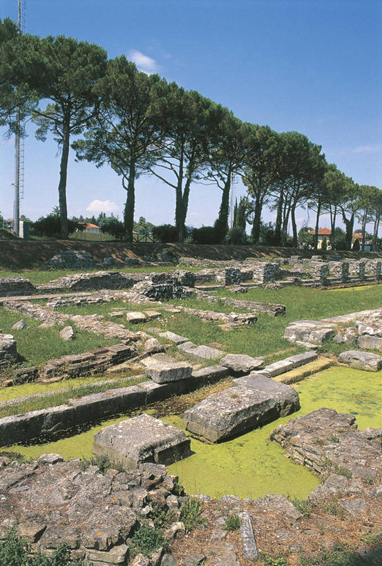 无人,竖图,室外,白天,建筑,意大利,欧洲,废墟,树,摄影,考古学,南欧,意大利共和国,古代文明,弗留利.威尼斯朱利亚,弗留利.威尼斯朱利亚大区,自然地理,彩图,乌迪内