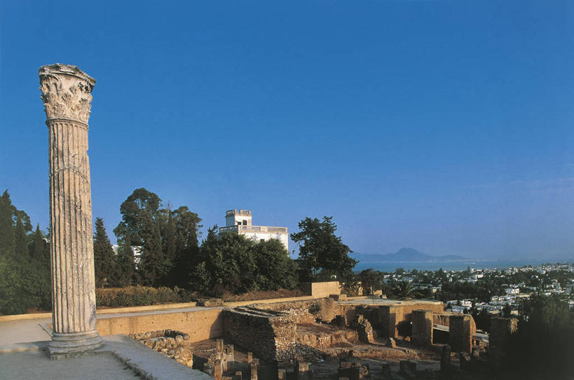 无人,横图,室外,白天,建筑,非洲,突尼斯,柱子,首都,历史,废墟,树,地标建筑,摄影,考古学,北非,万里无云,阿非利加洲,突尼斯共和国,迦太基,古代文明,彩图