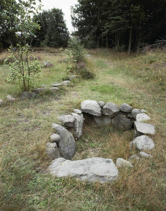 无人,竖图,室外,白天,度假,美景,森林,城市风光,城市,建筑,丹麦,欧洲,圆形,景观,历史,娱乐,草,树,享受,休闲,墓地,景色,放松,摄影,考古学,日德兰半岛,史前时代,自然地理,彩图