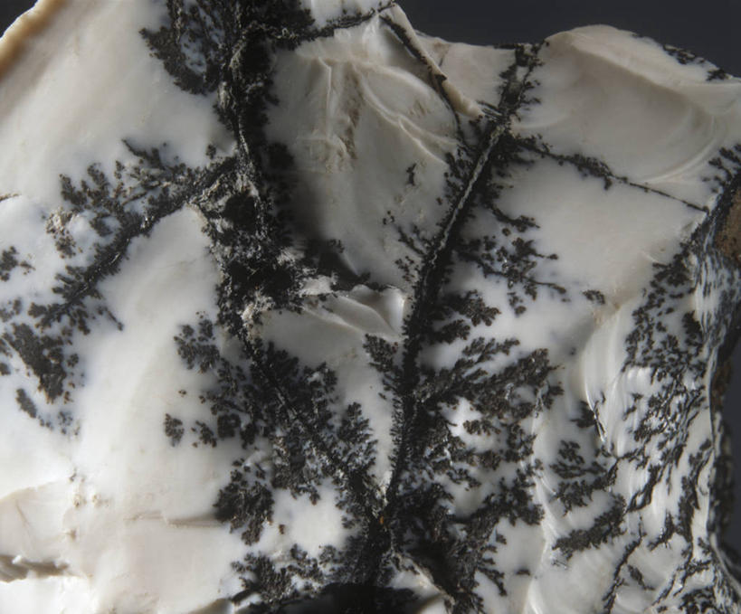 无人,横图,特写,白色,灰色,自然,摄影,蛋白石,地质学,矿物质,岩石,彩图,影棚拍摄