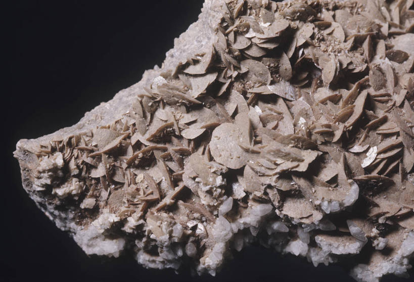 无人,横图,特写,黑色背景,褐色,自然,米色,摄影,地质学,矿物质,方解石,岩石,彩图,影棚拍摄