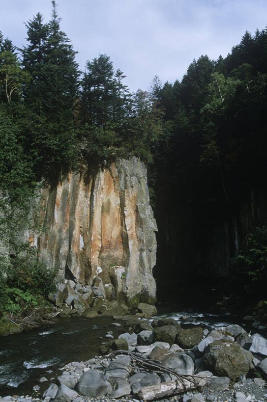 无人,公园,竖图,室外,白天,时尚,河流,美景,森林,北海道,日本,亚洲,景观,流水,悬崖,风景,自然,t台,景色,摄影,环境,国家公园,岩层,自然风光,沟壑,东亚,将军,日本国,北海道地方,北海道岛,国立公园,层云峡,时装表演,时装秀,t型台,走秀,岩石,彩图,大雪山,大雪山国立公园,郊野公园