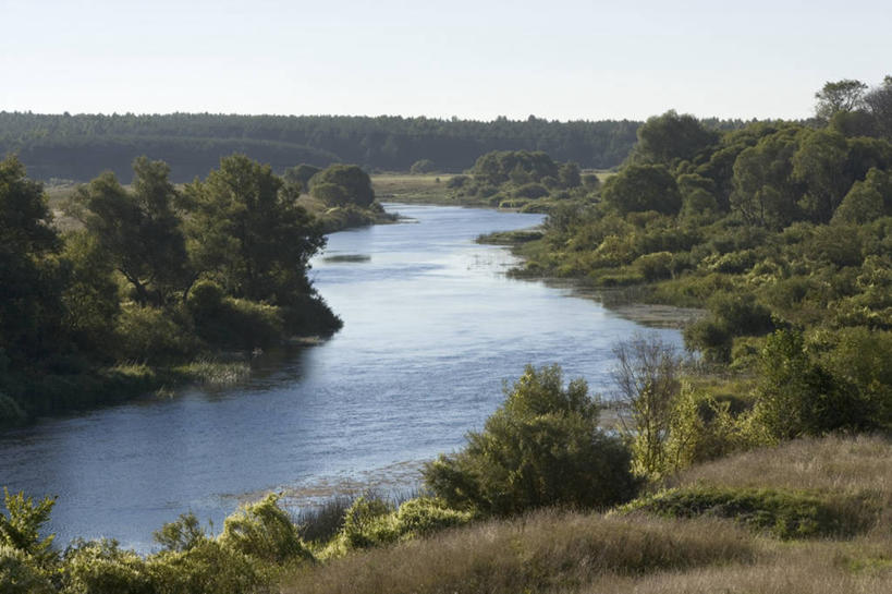 无人,横图,室外,白天,旅游,度假,河流,美景,森林,俄罗斯,地平线,地形,景观,流水,辽阔,地面,娱乐,树,风景,自然,享受,休闲,广阔,景色,放松,摄影,宁静,一望无际,环境,自然风光,延伸,天地相交,无边无际,一马平川,自然地理,彩图,苏兹达尔