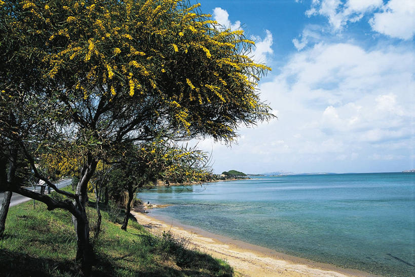 无人,横图,室外,白天,旅游,度假,海洋,美景,水,意大利,地平线,地形,海岸线,景观,水平线,云,娱乐,树,风景,天空,自然,享受,休闲,景色,放松,摄影,南欧,自然风光,意大利文化,撒丁岛,萨萨里,自然地理,海滩,彩图,旅行