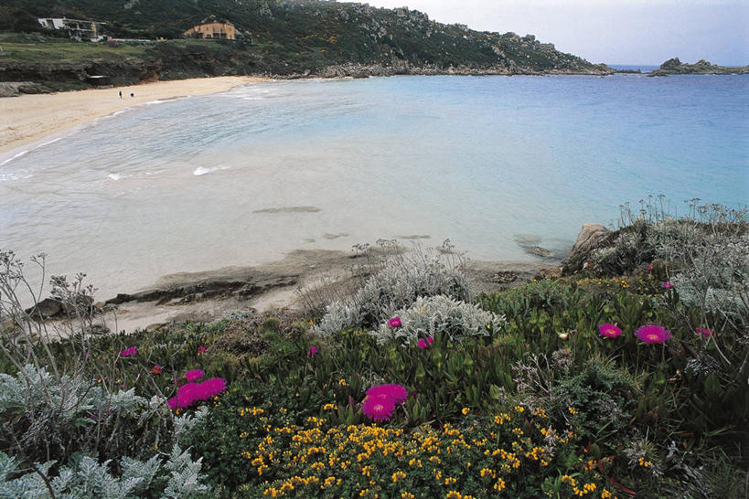 无人,横图,室外,白天,旅游,度假,海洋,美景,水,意大利,地形,海岸线,景观,娱乐,花,风景,自然,享受,休闲,景色,放松,摄影,南欧,自然风光,意大利文化,撒丁岛,萨萨里,自然地理,海滩,彩图,旅行