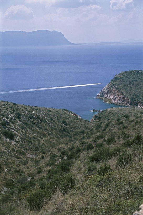 无人,竖图,室外,白天,旅游,度假,海洋,美景,水,意大利,岛,地平线,地形,景观,水平线,娱乐,草,风景,自然,享受,休闲,景色,放松,摄影,环境,南欧,自然风光,意大利文化,撒丁岛,萨萨里,自然地理,彩图,旅行