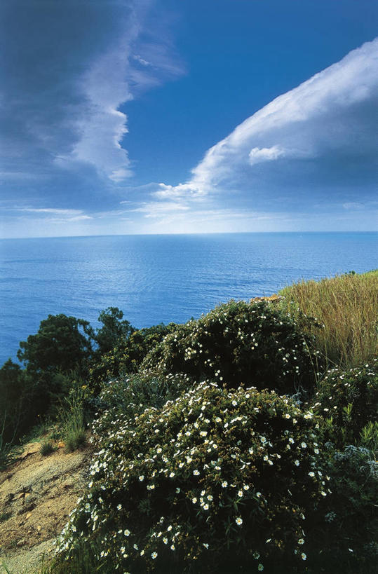 无人,竖图,室外,白天,海洋,美景,水,意大利,地平线,海岸线,景观,水平线,云,花,风景,天空,自然,景色,摄影,环境,南欧,自然风光,意大利文化,卡利亚里,撒丁岛,自然地理,彩图,旅行