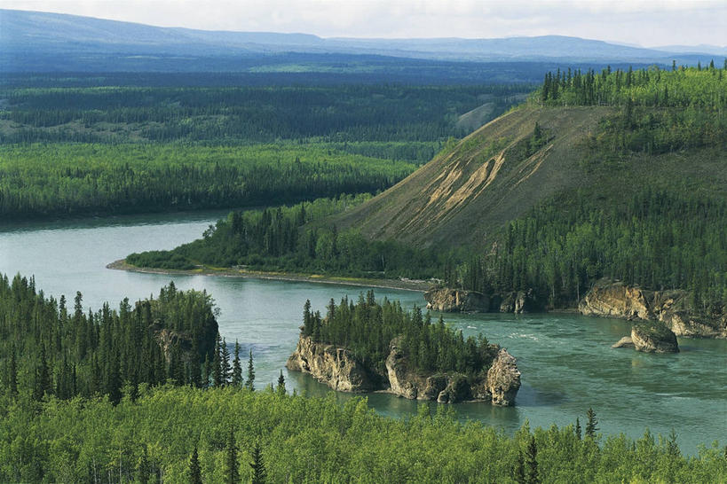 无人,横图,俯视,室外,白天,旅游,度假,河流,美景,森林,山,加拿大,地平线,地形,景观,流水,辽阔,地面,山谷,娱乐,树,风景,自然,享受,休闲,广阔,景色,放松,摄影,一望无际,环境,自然风光,延伸,天地相交,育空地区,无边无际,一马平川,自然地理,彩图,高角度拍摄,旅行,育空河