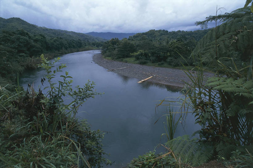 无人,横图,俯视,室外,白天,旅游,度假,河流,美景,森林,牙买加,地平线,地形,景观,流水,辽阔,地面,娱乐,风景,自然,享受,休闲,广阔,景色,放松,摄影,一望无际,环境,气候,热带气候,自然风光,延伸,天地相交,安东尼奥港,无边无际,一马平川,格兰德河,自然地理,彩图,高角度拍摄,旅行