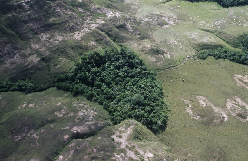 无人,横图,俯视,航拍,室外,白天,旅游,度假,美景,委内瑞拉,地形,景观,娱乐,树,自然,地标建筑,平原,享受,休闲,景色,南美,放松,摄影,国家公园,岩层,鸟瞰,自然风光,岩石,彩图,高角度拍摄,卡奈依马国家公园,郊野公园