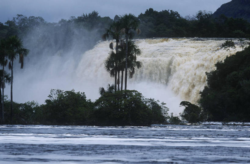 无人,横图,室外,白天,旅游,度假,河流,美景,瀑布,水,棕榈树,委内瑞拉,地形,景观,流水,娱乐,风景,自然,地标建筑,享受,休闲,景色,南美,放松,摄影,国家公园,自然风光,彩图,卡奈依马国家公园,郊野公园