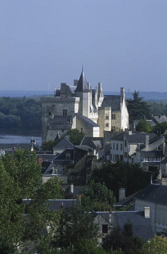 无人,竖图,俯视,室外,白天,建筑,法国,欧洲,城堡,乡村,城镇,历史,地标建筑,摄影,西欧,法兰西,法国文化,中欧,法兰西共和国,卢瓦尔河谷,卢瓦尔河地区,法兰西第五共和国,卢瓦尔河,罗亚尔河,卢瓦尔,卢瓦尔大区,卢瓦尔河大区,曼恩.卢瓦尔省,彩图,高角度拍摄,旅行