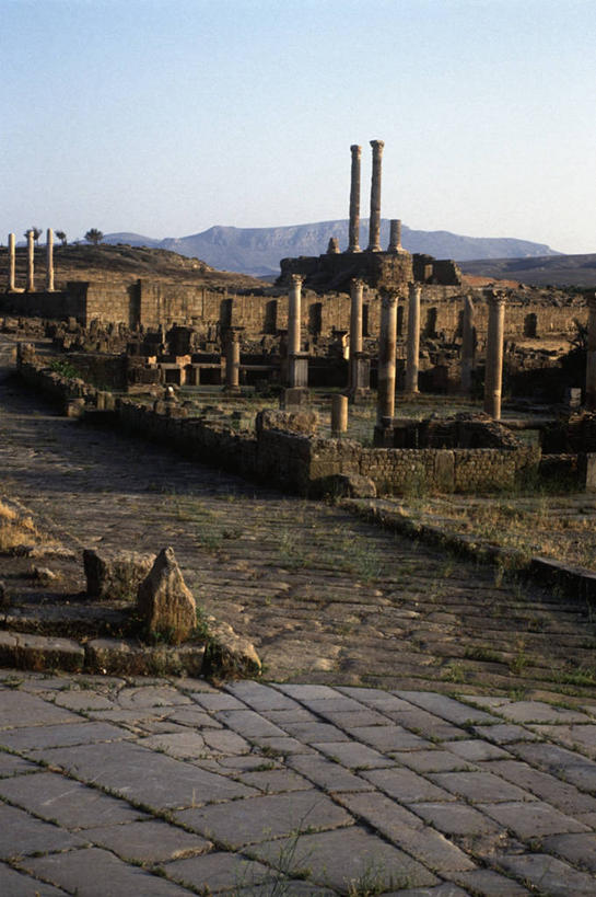 无人,竖图,室外,白天,旅游,度假,美景,建筑,阿尔及利亚,柱子,景观,历史,娱乐,废墟,自然,享受,休闲,景色,放松,摄影,自然风光,古典风格,北非,古代文明,彩图,旅行