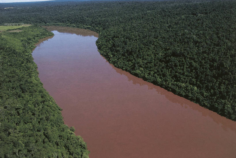 无人,横图,俯视,航拍,室外,白天,美景,森林,水,城市,巴西,景观,流水,首都,自然,地标建筑,景色,南美,摄影,环境,南美洲,国家公园,拉丁美洲,鸟瞰,自然风光,美洲,巴西联邦共和国,首府,亚美利加洲,南亚美利加洲,伊瓜苏河,巴拉那,巴拉那州,巴西利亚,巴西里亚,彩图,高角度拍摄,伊瓜苏市,郊野公园