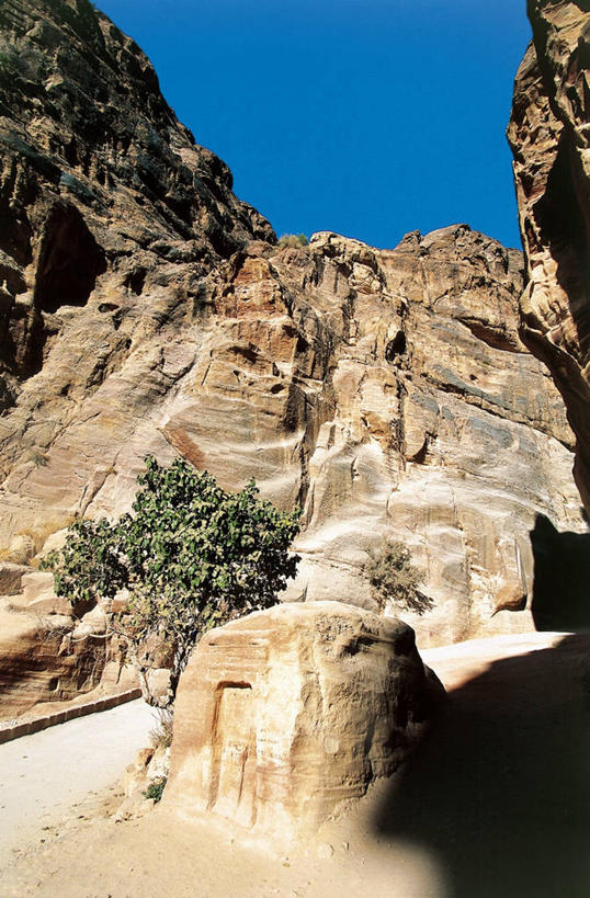 无人,竖图,室外,白天,仰视,旅游,度假,美景,峡谷,日光,约旦,景观,历史,娱乐,天空,自然,地标建筑,享受,休闲,景色,放松,摄影,考古学,岩层,自然风光,万里无云,佩特拉,古代文明,岩石,彩图,低角度拍摄,旅行