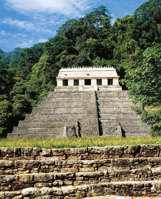 无人,竖图,室外,白天,森林,建筑,墨西哥,历史,废墟,台阶,树,地标建筑,金字塔,摄影,考古学,北美,北美洲,拉丁美洲,美洲,玛雅文明,帕伦克,恰帕斯州,北亚美利加洲,亚美利加洲,墨西哥合众国,仙人掌王国,古代文明,彩图,旅行,拉美文明,过去