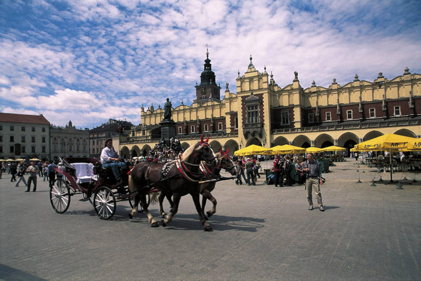 人群,广场,横图,室外,白天,城市,建筑,马,波兰,古城,马车,许多人,动物,地标建筑,两只,一群人,摄影,中央广场,克拉科夫,小波兰省,纺织会馆,彩图,旅行
