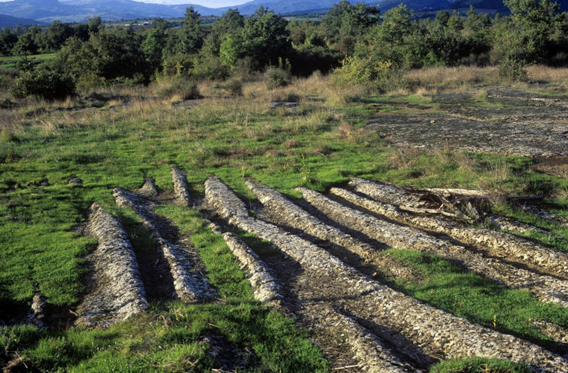 无人,横图,俯视,室外,白天,路,意大利,田地,风景,地标建筑,摄影,意大利文化,托斯卡纳区,古代文明,彩图,高角度拍摄,皮蒂利亚诺,景观设计