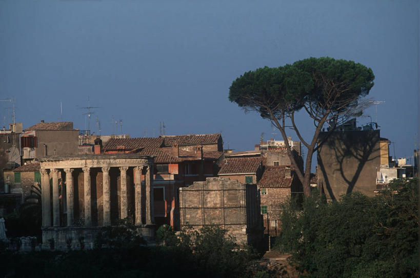 无人,横图,室外,建筑,意大利,神话,柱子,历史,古罗马,废墟,树,摄影,红球甘蓝,考古学,女神,拉奇奥,彩图,过去