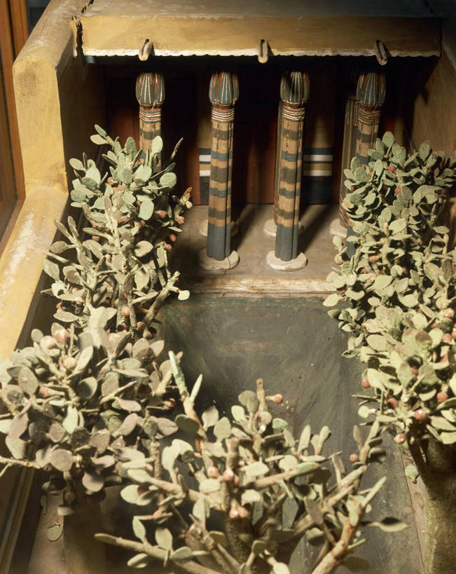 无人,竖图,俯视,室内,建筑,埃及,柱子,历史,树,摄影,生活方式,展览,中东,埃及文化,古埃及文明,古代文明,无花果树,彩图,高角度拍摄,门廊