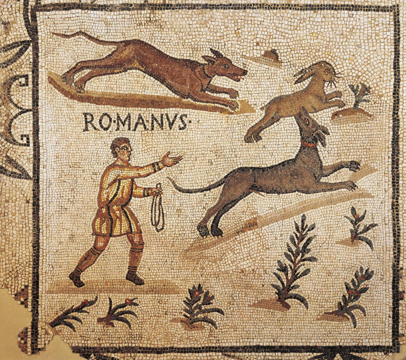 无人,横图,俯视,植物,狗,花纹,捕食,标志,长袍,符号,图案,正方形,拿着,标识,古罗马,古代,绳子,摄影,野兔,性别符号,古代文明,拉丁文,彩图,高角度拍摄,男性符号