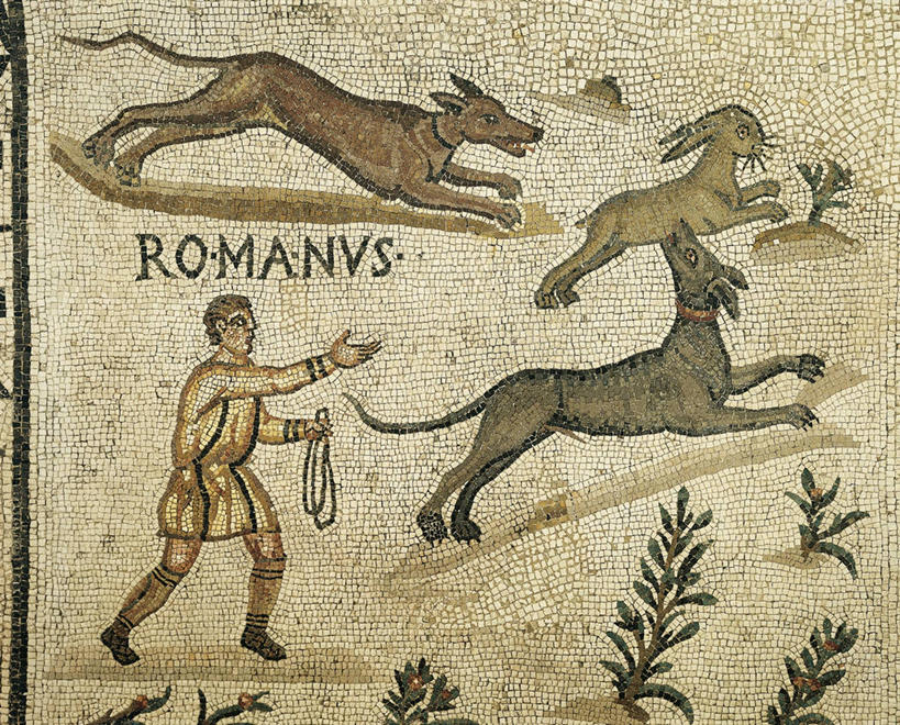 无人,横图,俯视,植物,狗,花纹,捕食,标志,长袍,符号,图案,正方形,拿着,标识,古罗马,古代,绳子,摄影,野兔,性别符号,古代文明,拉丁文,美术工艺,彩图,高角度拍摄,男性符号