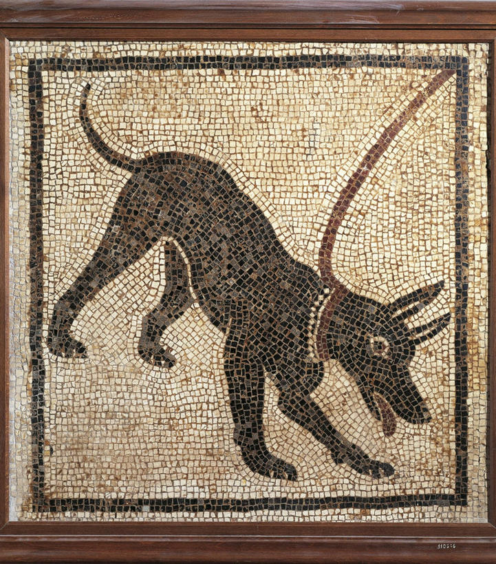 无人,站,竖图,方图,宠物,狗,相框,意大利,花纹,图案,伸舌头,张嘴,家畜,摄影,长矛,张大嘴巴,张开嘴,彩图,宠物项圈