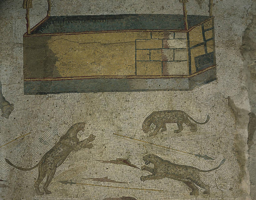 无人,横图,花纹,图案,笼子,历史,古罗马,摄影,美洲豹,野猫,古代文明,彩图