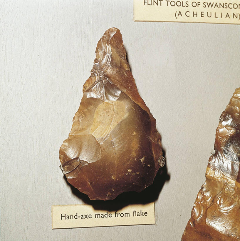 无人,博物馆,竖图,方图,室内,特写,白天,伦敦,首都,英格兰,摄影,英文字母,考古学,古代文明,肯特,史前时代,彩图,石器时代,斧