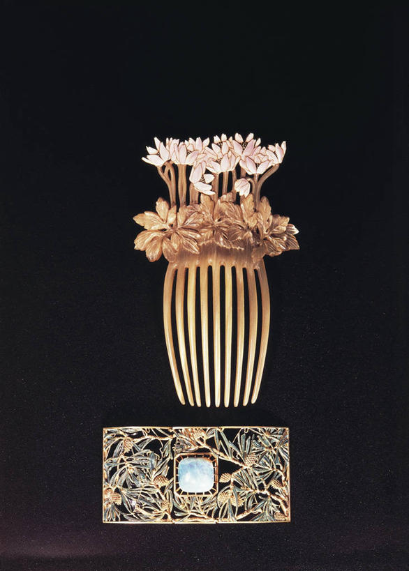 无人,竖图,珐琅,珠宝,艺术,褐色,梳子,钻石,两个,摄影,银莲花,褐色背景,手艺,工匠,式样,美术工艺,彩图,影棚拍摄