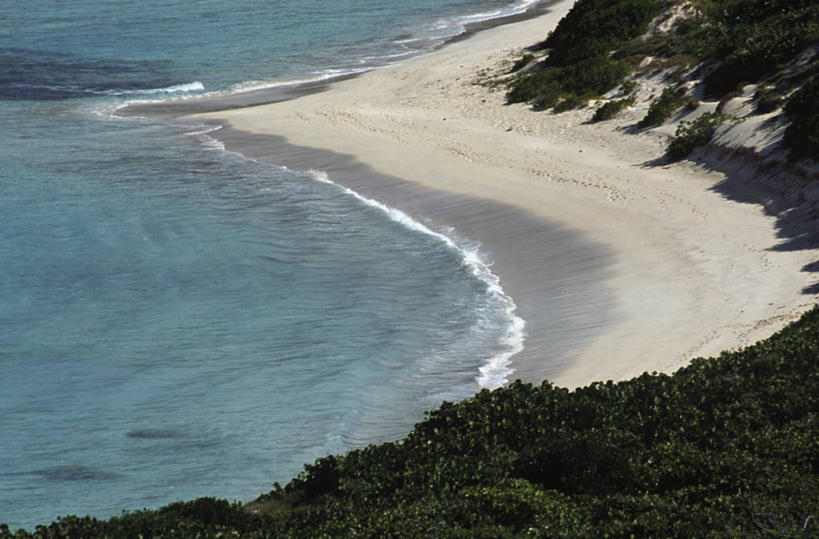 无人,横图,室外,白天,度假,海浪,海洋,沙子,摄影,灌木,气候,热带气候,纯净,英属维京群岛,海滩,彩图