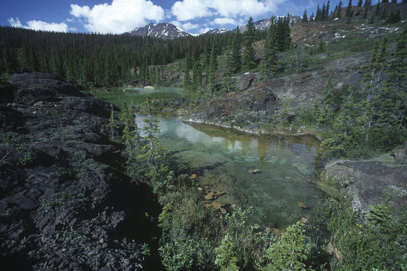 无人,横图,室外,白天,湖,森林,加拿大,地形,山顶,风景,摄影,宁静,纯净,育空地区,针叶树,彩图