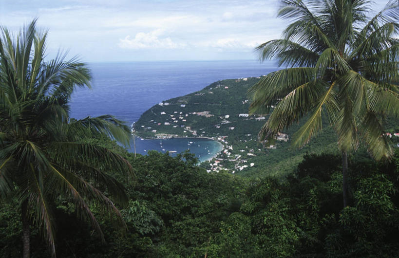 无人,横图,俯视,室外,白天,旅游,度假,海洋,棕榈树,海岸线,水平线,娱乐,享受,休闲,放松,茂密,摄影,茂盛,宁静,气候,热带气候,英属维京群岛,海滩,彩图,高角度拍摄