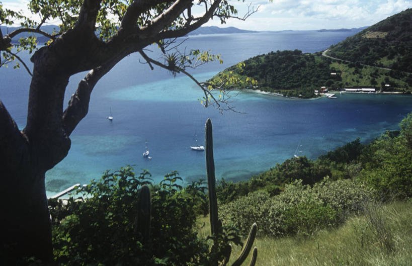 无人,横图,俯视,室外,白天,度假,海洋,山,海岸线,枝,草,树,风景,摄影,灌木,宁静,英属维京群岛,约斯特范代克岛,彩图,高角度拍摄