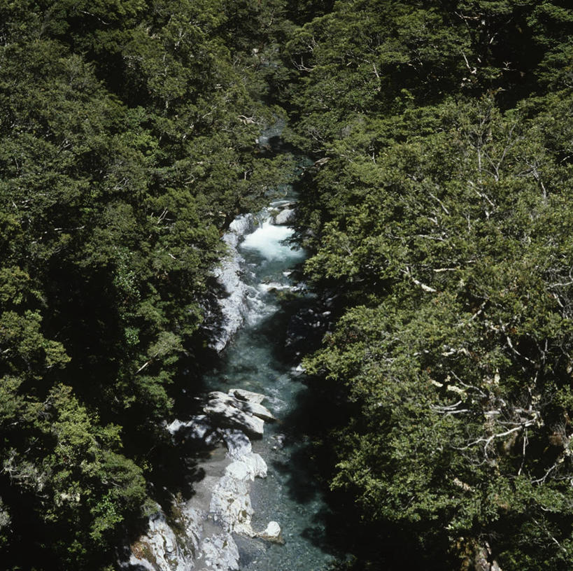 无人,横图,方图,室外,白天,旅游,度假,河流,美景,森林,新西兰,地形,景观,流水,娱乐,风景,自然,享受,休闲,景色,放松,摄影,宁静,国家公园,自然风光,新西兰南岛,艾斯派林山国家公园,自然地理,彩图