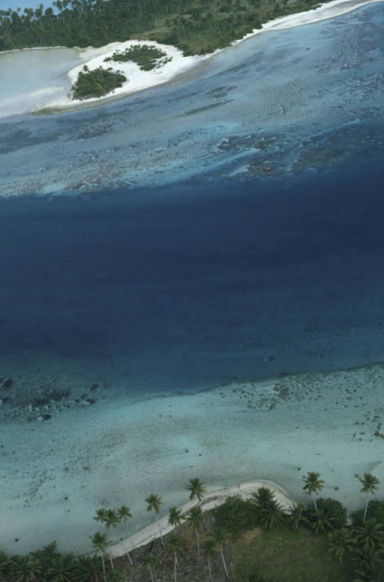 无人,竖图,室外,白天,旅游,度假,美景,棕榈树,沙子,地形,海岸线,景观,娱乐,风景,自然,享受,休闲,景色,放松,摄影,宁静,自然风光,大洋洲,法属波利尼西亚,社会群岛,法属玻利尼西亚,自然地理,海滩,彩图,法国海外领土