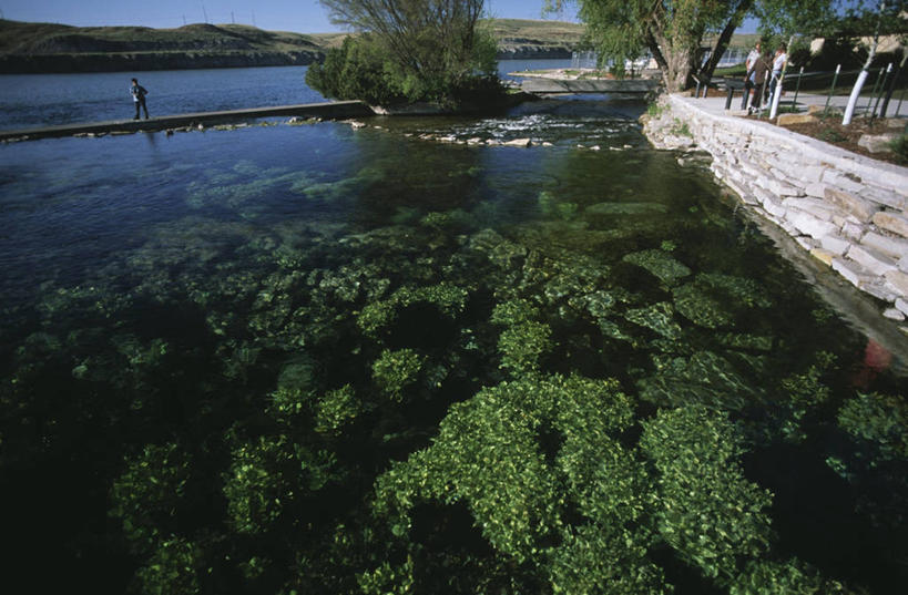横图,室外,白天,旅游,度假,美景,美国,景观,浮萍,娱乐,自然,春天,享受,休闲,景色,放松,摄影,生长,清新,自然风光,水生植物,蒙大拿州,州立公园,密苏里河,彩图,旅行