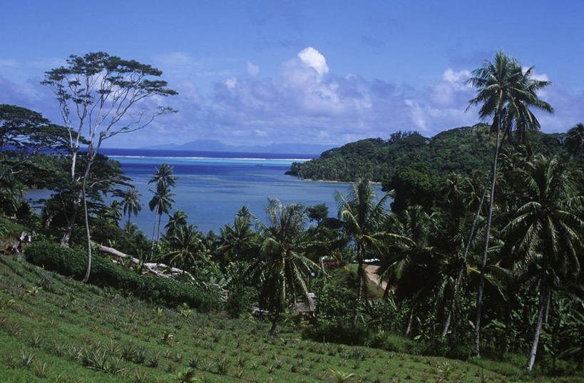 无人,横图,室外,白天,旅游,度假,美景,山,棕榈树,地形,景观,水平线,云,娱乐,风景,天空,自然,享受,休闲,景色,放松,摄影,宁静,自然风光,大洋洲,法属波利尼西亚,社会群岛,法属玻利尼西亚,自然地理,彩图,法国海外领土