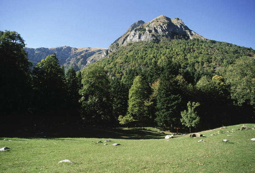 无人,横图,室外,白天,旅游,度假,美景,森林,山,意大利,地形,景观,山顶,娱乐,草,树,风景,自然,地标建筑,享受,休闲,景色,放松,摄影,宁静,自然风光,意大利文化,自然保护区,自然地理,彩图,库内奥省