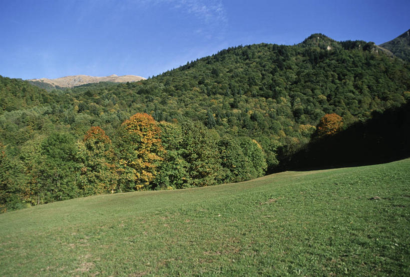 无人,横图,室外,白天,旅游,度假,美景,森林,山,山脉,意大利,地形,景观,山顶,娱乐,树,风景,自然,享受,休闲,景色,放松,摄影,宁静,自然风光,自然保护区,自然地理,彩图,库内奥省