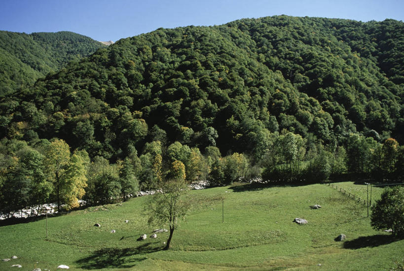 无人,横图,俯视,室外,白天,旅游,度假,美景,森林,山,意大利,地形,景观,田地,娱乐,树,风景,自然,享受,休闲,景色,放松,摄影,宁静,自然风光,自然保护区,自然地理,彩图,高角度拍摄,库内奥省